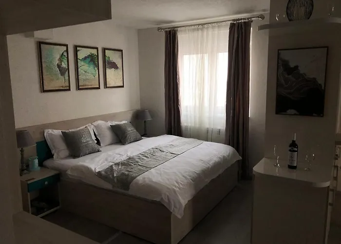 Hotel China Town Prenociste Bělehrad